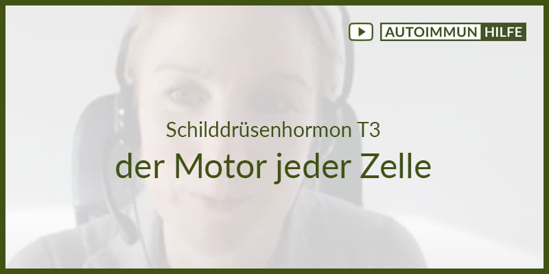 Schilddrüsenhormon T3 – der Motor jeder Zelle